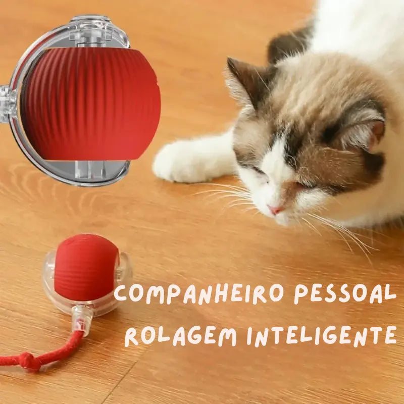 Bola Interativa com Cauda