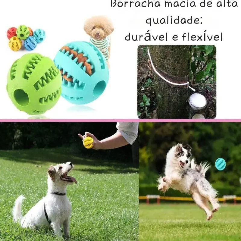 Bola Interativo para Cães