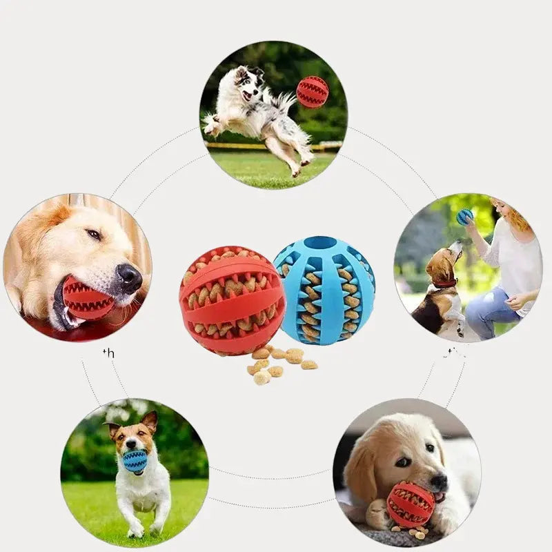 Bola Interativo para Cães