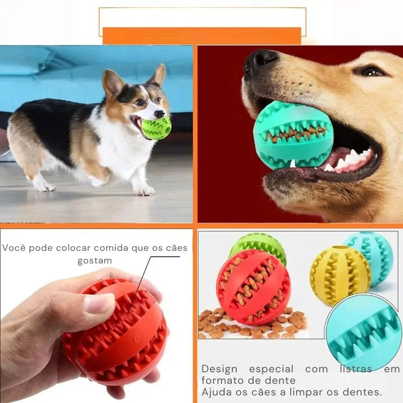 Bola Interativo para Cães