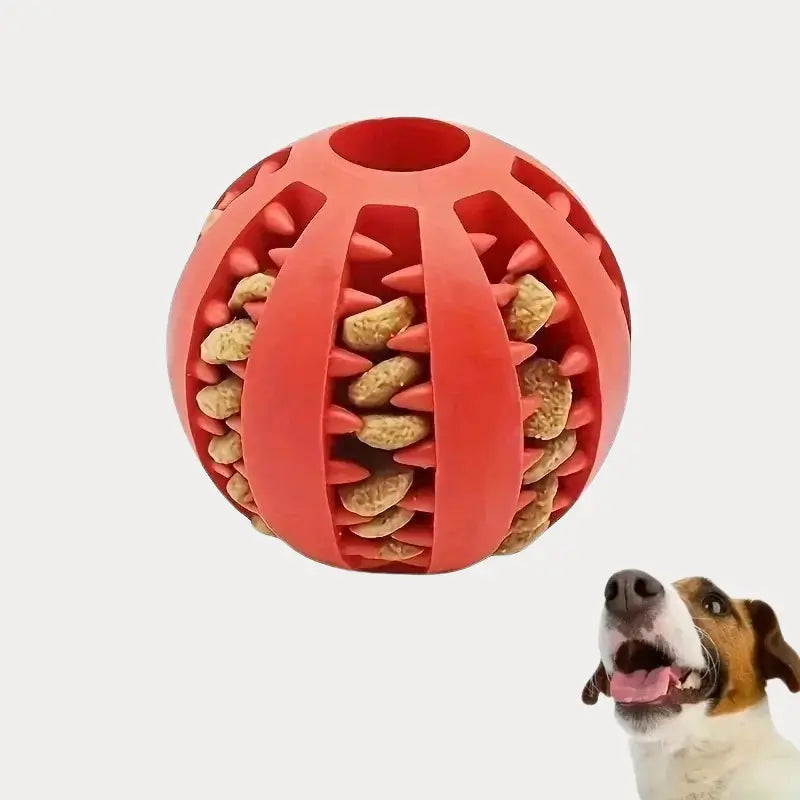 Bola Interativo para Cães