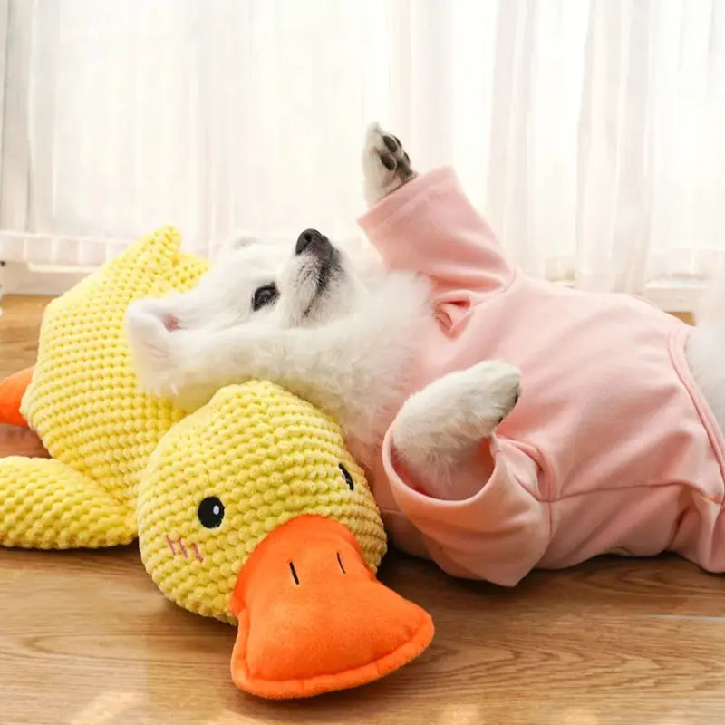 Patito Mordedor