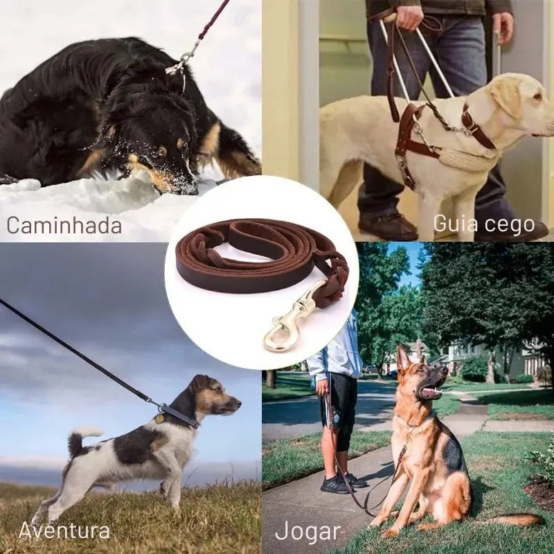 Trela de Couro Genuíno para Cão