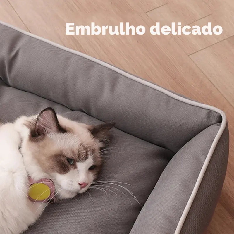 Cama Aconchegante Anti-Mordida