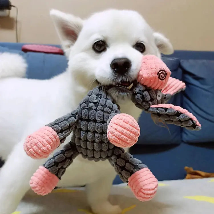 Brinquedo Canino com Som