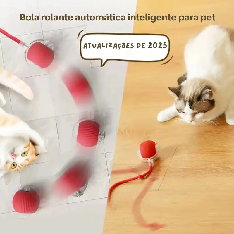 Bola Interativa com Cauda