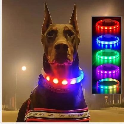 Coleira LED Anti-Perda