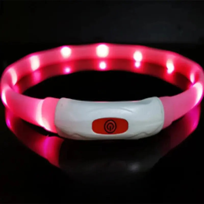 Coleira LED Anti-Perda