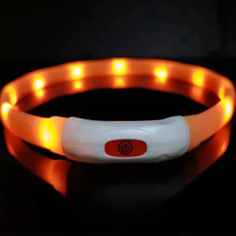 Coleira LED Anti-Perda