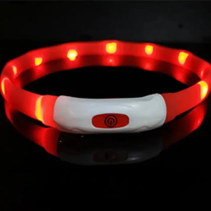 Coleira LED Anti-Perda