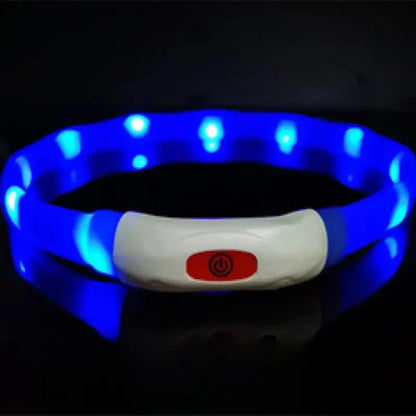 Coleira LED Anti-Perda