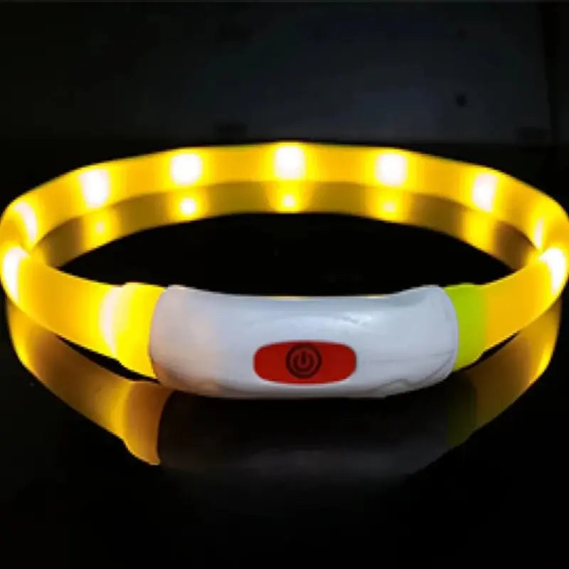 Coleira LED Anti-Perda
