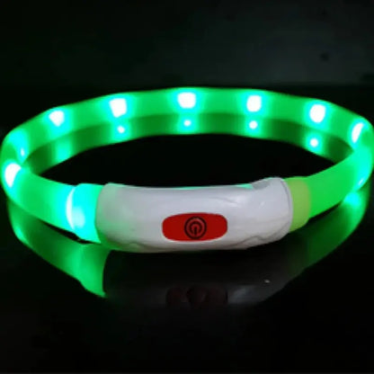 Coleira LED Anti-Perda