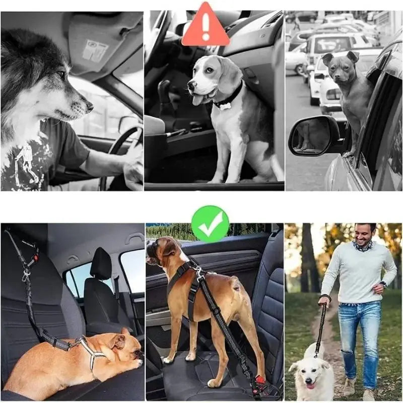 Cinto de segurança para automóvel