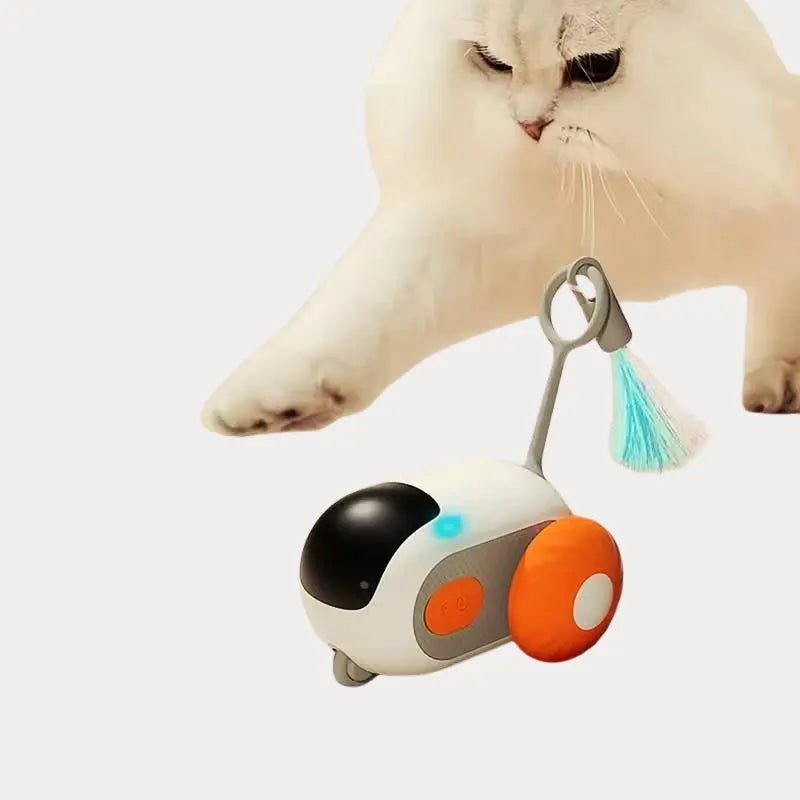 Carro Inteligente PetPlay
