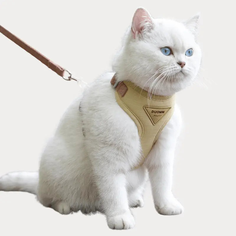 Trela e Arnês para Gatos