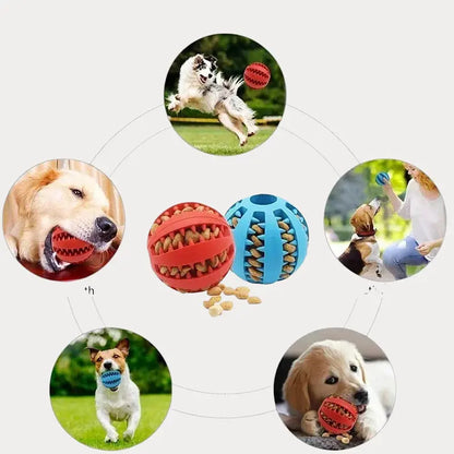 Bola  Interativo para Cães