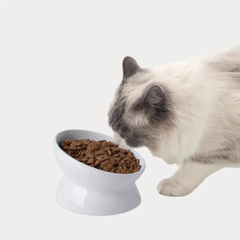 Tigela ceramica de Alimentação Inclinada