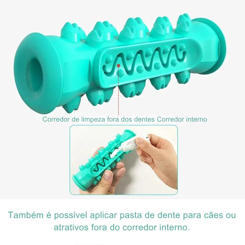 Brinquedo Dentário