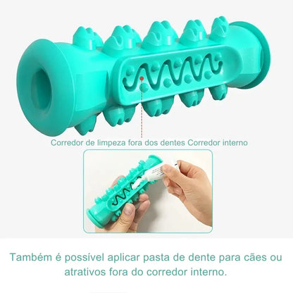 Brinquedo Dentário