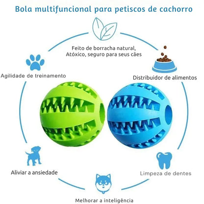 Bola  Interativo para Cães