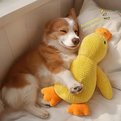 Patito Mordedor