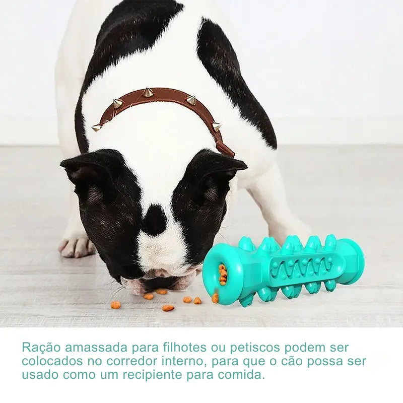 Brinquedo Dentário