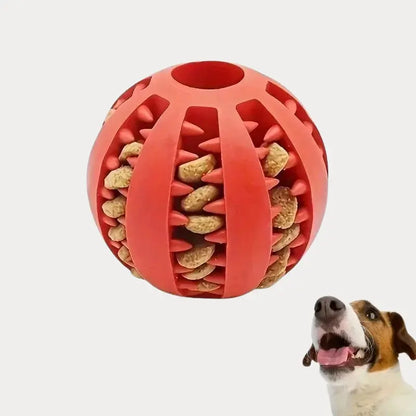 Bola  Interativo para Cães