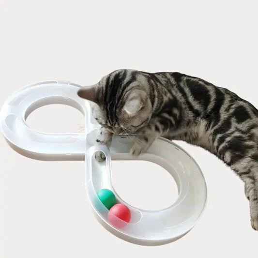 Brinquedo Pista Desmontável para Pets