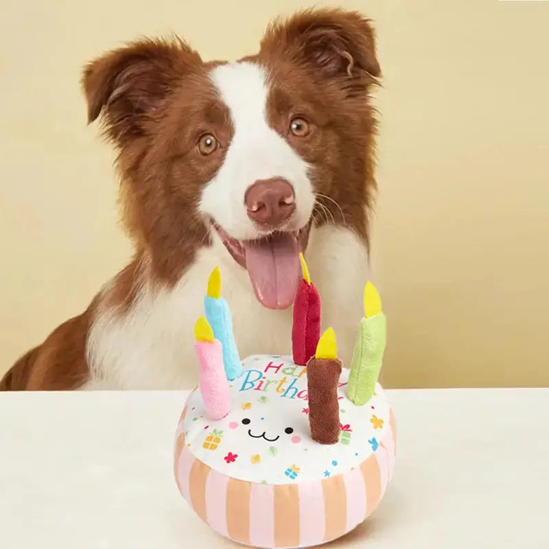 Bolo de Aniversário de Peluche para Cães com Som
