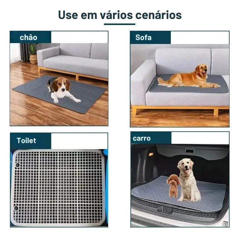 Tapete Absorvente Reutilizável
