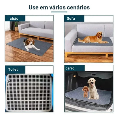 Tapete Absorvente Reutilizável