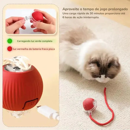 Bola Interativa com Cauda