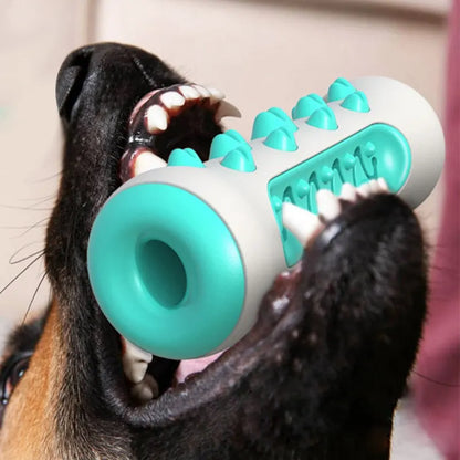 Brinquedo Dentário