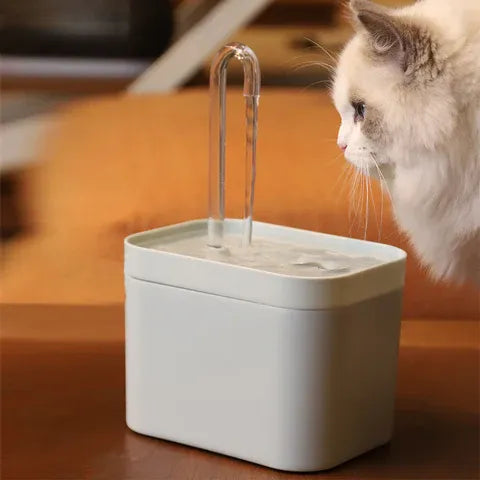 Fonte para gato com filtro